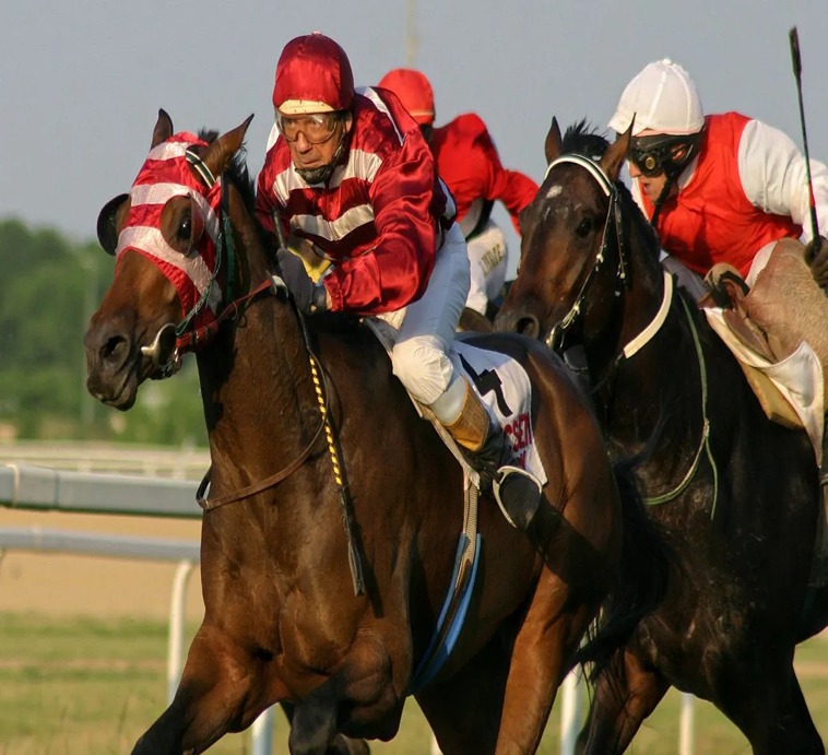 Cách Chơi Cá Cược Đua Ngựa Tại MOT88: Bí Quyết Thắng Lớn Cho Dân Chuyên Nghiệp 2 Cách Chơi Cá Cược Đua Ngựa Tại MOT88: Bí Quyết Thắng Lớn Cho Dân Chuyên Nghiệp